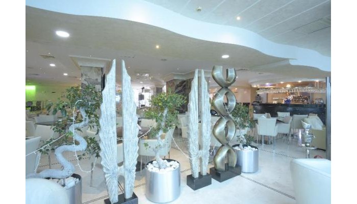 The Penthouse Suites Hotel poza 8